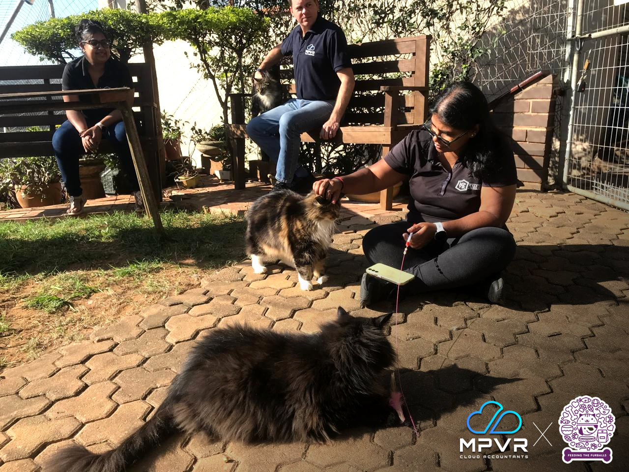 MPVR x Feeding the Furballs